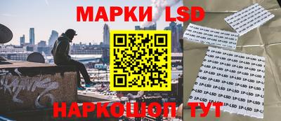 прущие грибы Лесосибирск