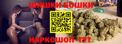 прущие грибы Лесосибирск