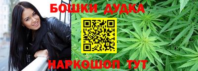 прущие грибы Лесосибирск
