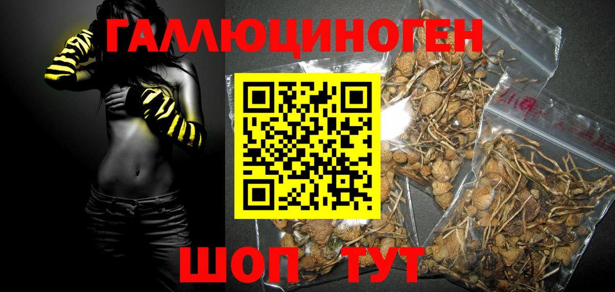 Псилоцибиновые грибы MAGIC MUSHROOMS  Вход с VPN  Псилоцибиновые грибы Cubensis  Дзержинск 